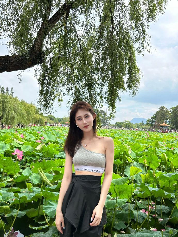 春光乍泄